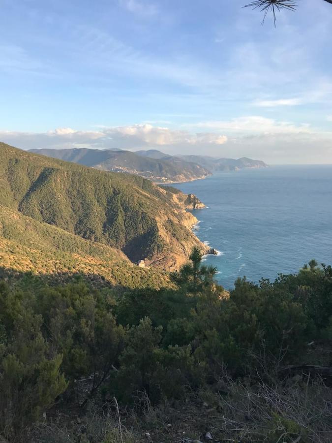 La Casa Di Ester Lavagna Exteriör bild